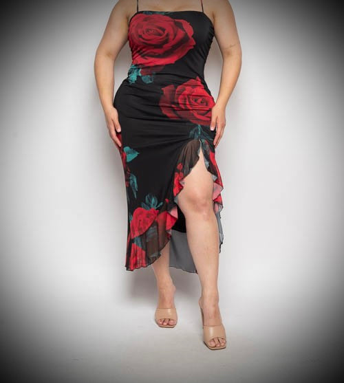 ROSAS DRESS: PLUS SIZE