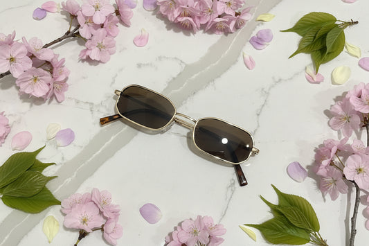 Modish Sunglasses
